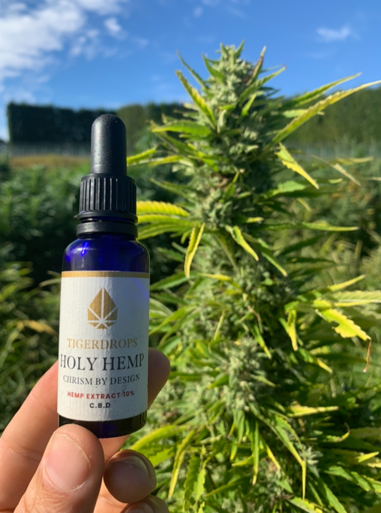 Holy CBG Hemp Oil 30ml