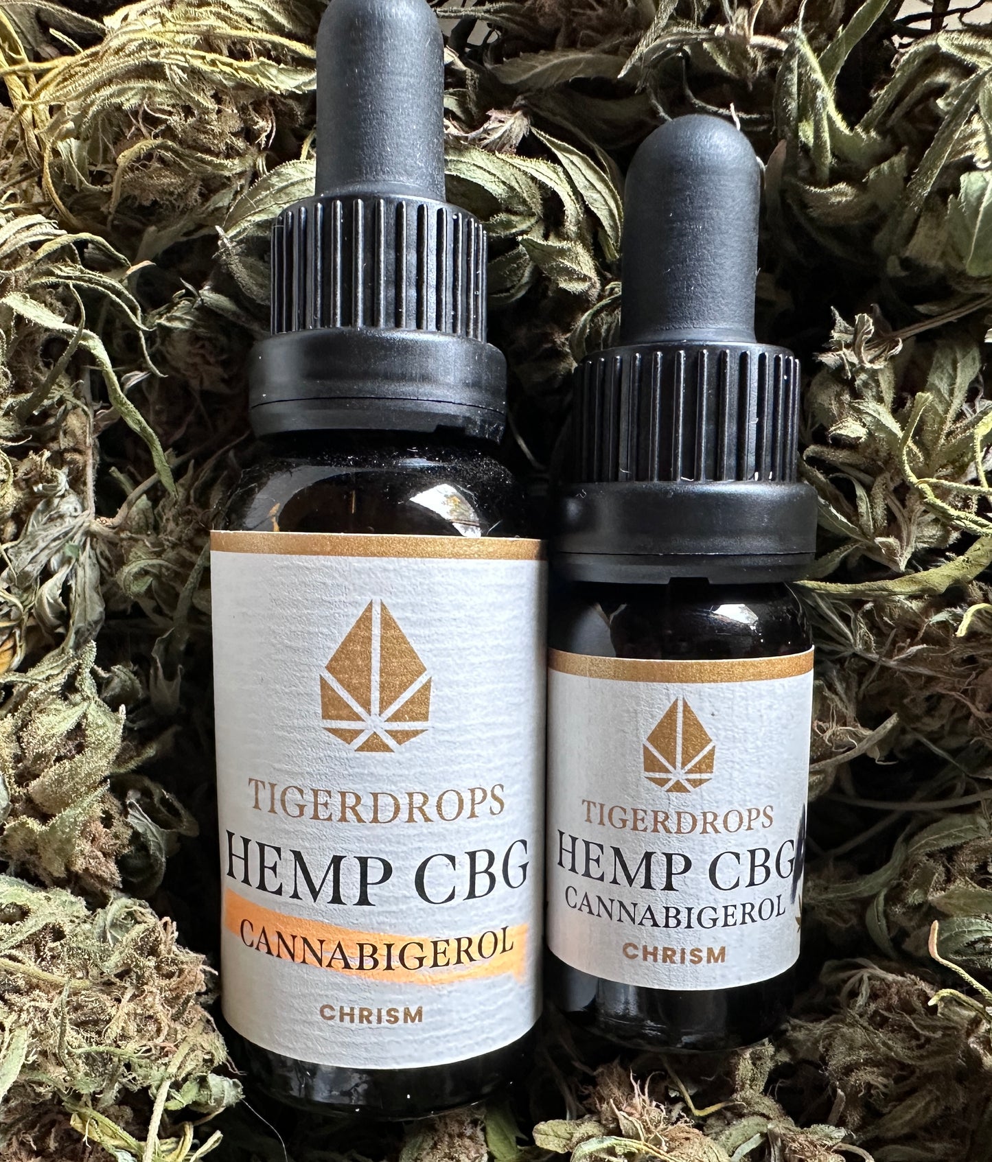 A CBG CBGA Special: Biggest Tiger